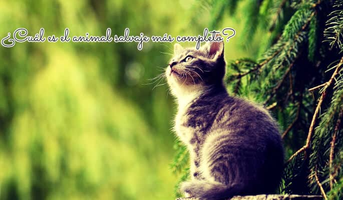 Cuál es el animal salvaje más completo