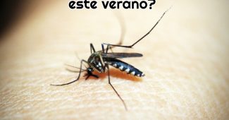 mosquito-enorme-picando-el-brazo-de-una-persona