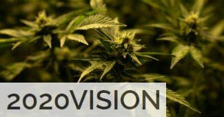 Diferencias entre CBD y HHC