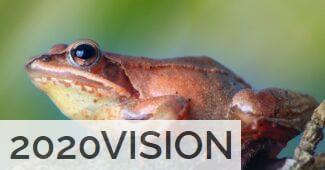 Especies más venenosas del mundo