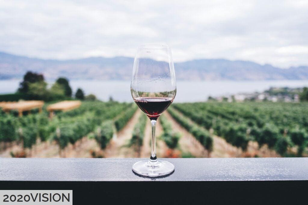 Los vinos más representativos de España