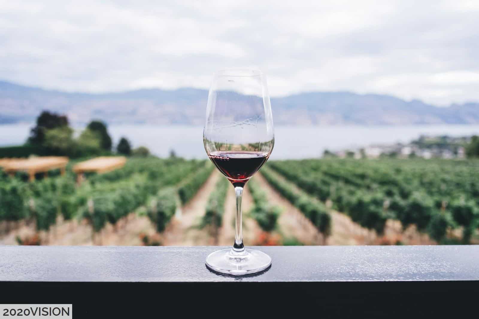 Los vinos más representativos de España