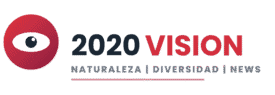 2020VISION